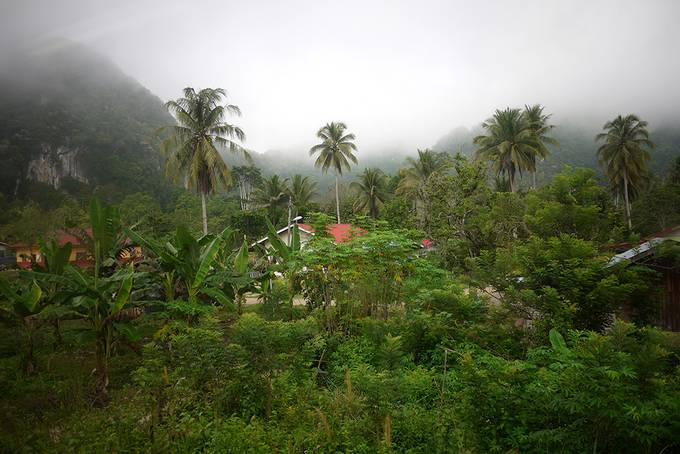 Village in the jungle