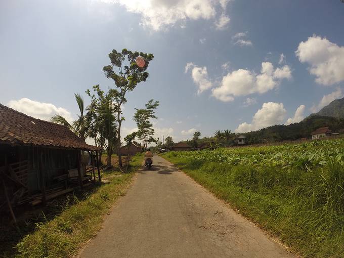 Borobudur countryside