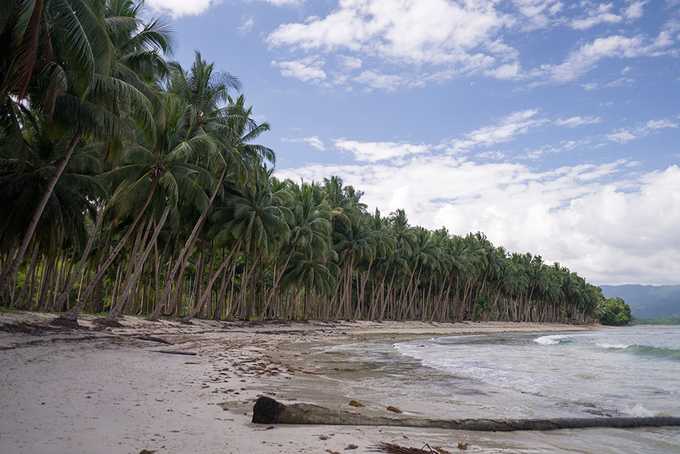 Palawan: El Nido, Port Barton and a deserted island