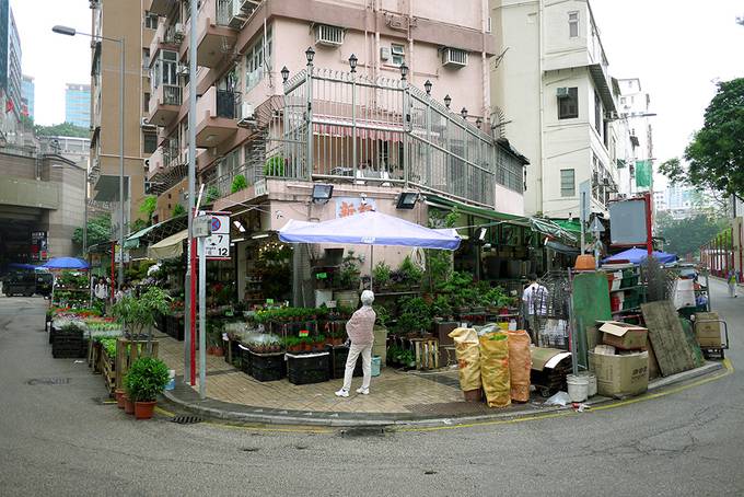 Hong Kong flower market