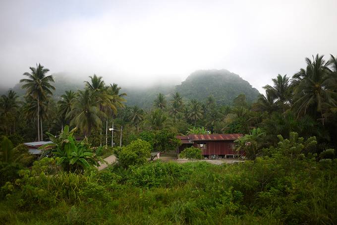 Village in the jungle
