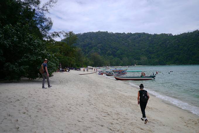 Monkey beach