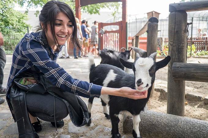 Aysha petting a goat