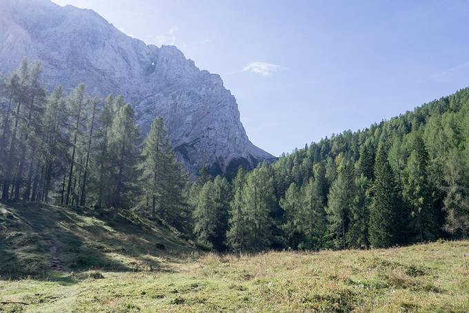 The perfect picnic spot