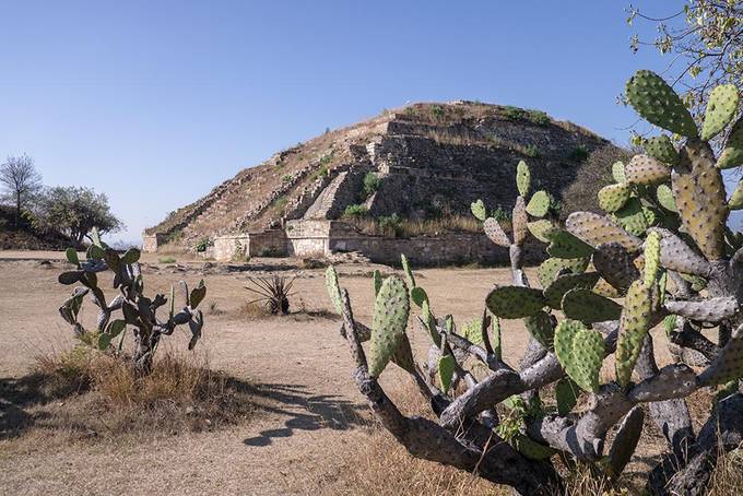 Cacti and ruins