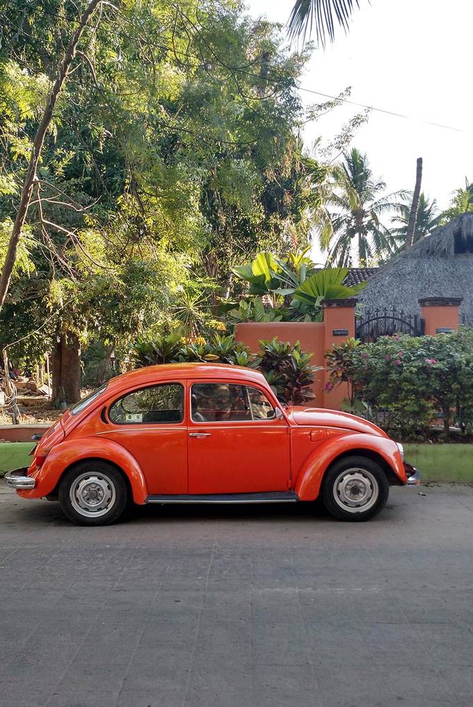 VW Beetles are everywhere