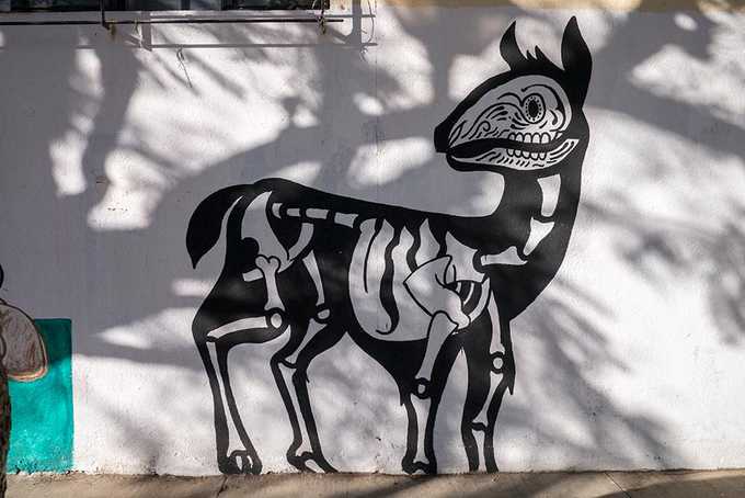 A street art guide to Oaxaca, Mexico