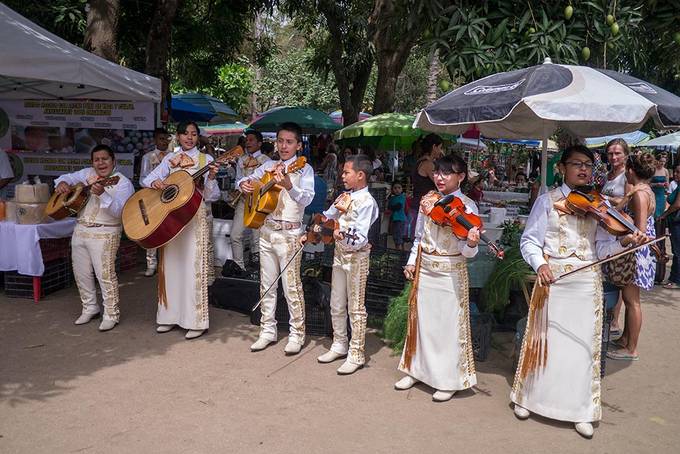 The mariachi band
